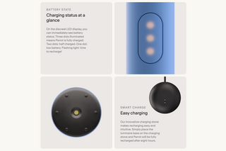 Parrot Portable Lamp