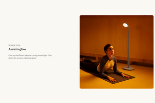 Parrot Portable Lamp