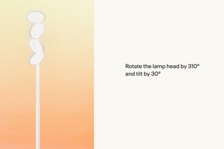 Parrot Portable Lamp