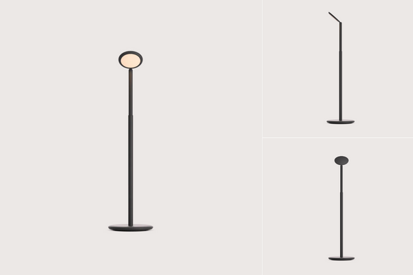 Parrot Portable Lamp