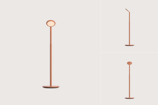 Parrot Portable Lamp