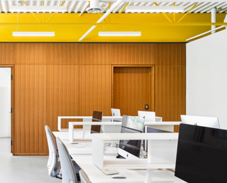 ED vector+ 5Ft White