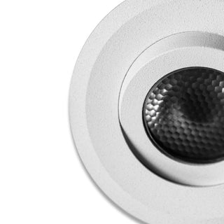 Segno Adjustable