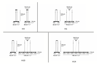 Flowers From Amsterdam DL
