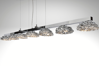 Flowers From Amsterdam SL