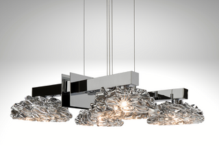 Flowers From Amsterdam DL