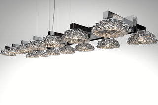 Flowers From Amsterdam DL