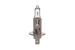 55W 12V halogen