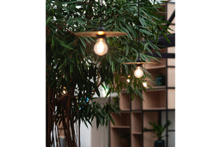 FOREVER21 Lighting Store