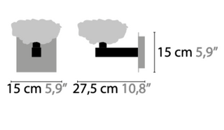 Flowers From Amsterdam Wall